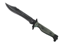 Bowie Knife